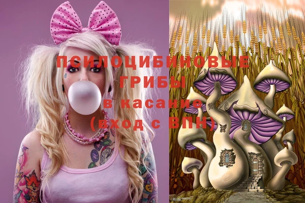 гидропоника Абинск