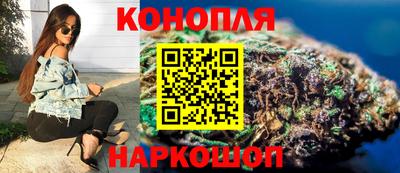 Альфа ПВП Новодвинск