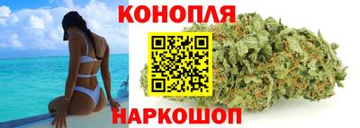 Альфа ПВП Новодвинск