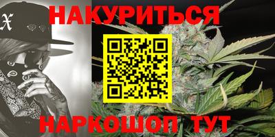 Альфа ПВП Новодвинск