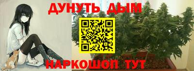 дурь Новокубанск