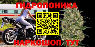 Альфа ПВП Новодвинск