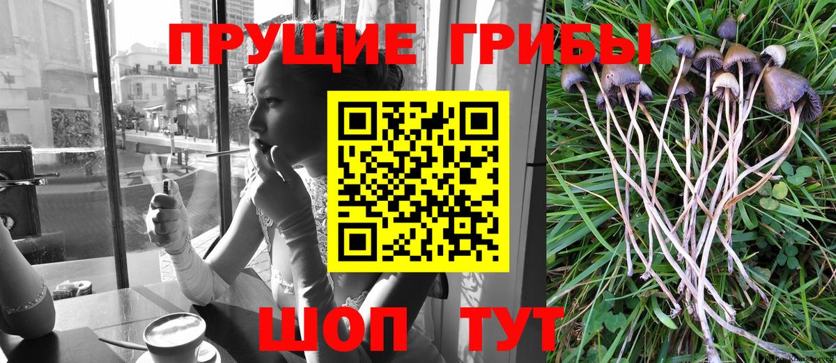 Псилоцибиновые грибы MAGIC MUSHROOMS  Вход с VPN  Уфа  Галлюциногенные грибы мухоморы 