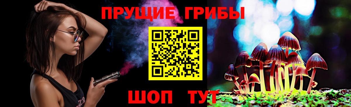 Галлюциногенные грибы Psilocybe Уфа
