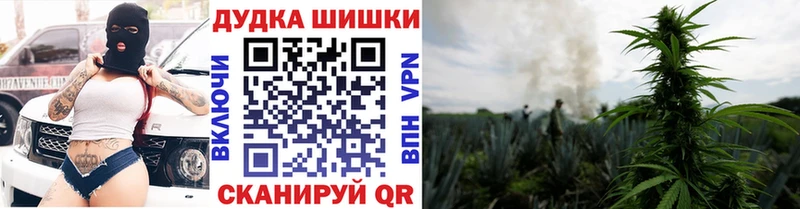Каннабис план Уфа